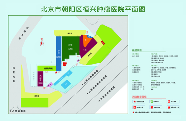 免费幵孢操逼网站北京市朝阳区桓兴肿瘤医院平面图